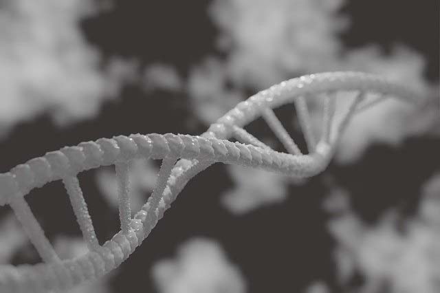 Genetics - DNA