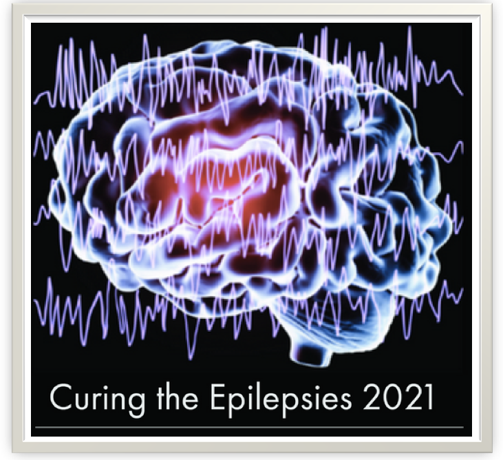 curing the epilepsies - NIH